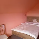 Kdyz Nevite Kam, Prijedte K Nam D'artagnan 3* Kořenov